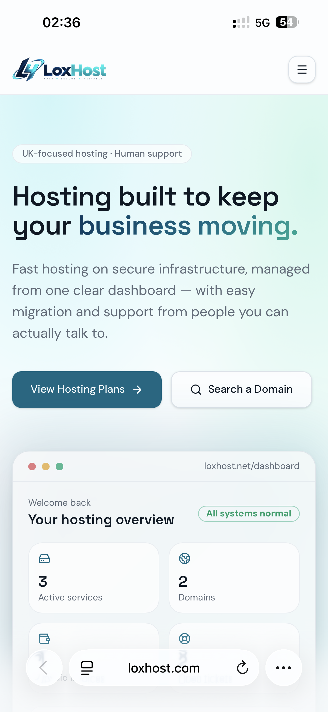 Loxhost website preview